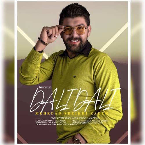 مهرداد شیخی زاده دلی دلی